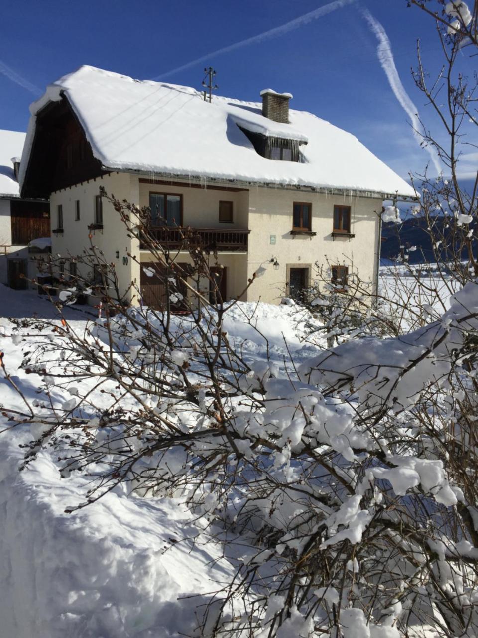 Haus Pfarrkirchner Apartment Маутерндорф Екстериор снимка